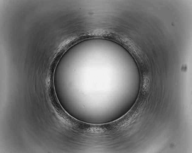 X0000099420636200805161047