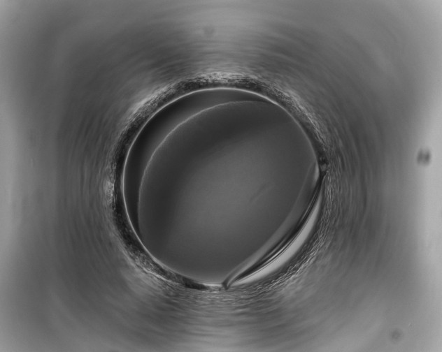 X0000099420640200805161047