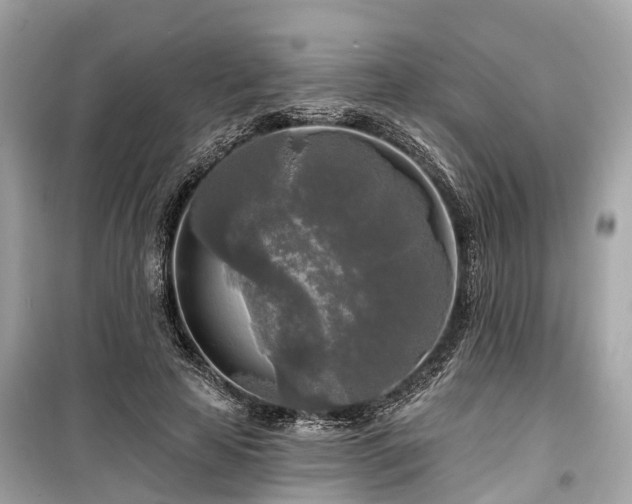 X0000099420641200805161047