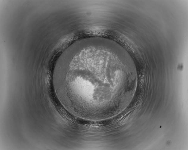 X0000099420643200805161047