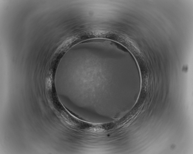 X0000099420644200805161047
