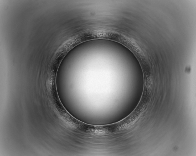 X0000099420645200805161047