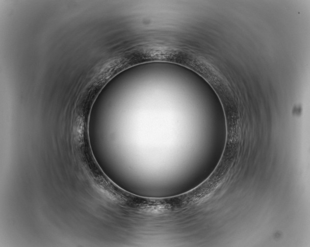 X0000099420646200805161047