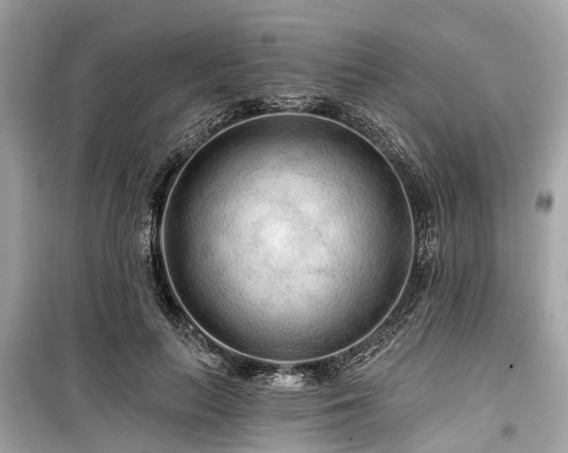 X0000099420647200805161047