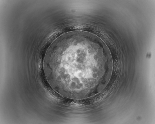 X0000099420648200805161047