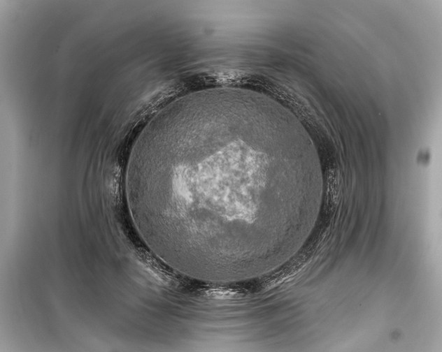 X0000099420650200805161047