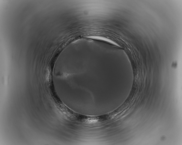 X0000099420651200805161047