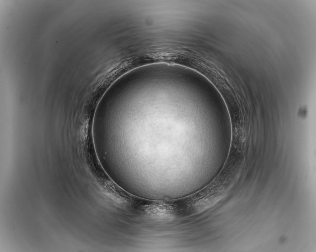 X0000099420652200805161047