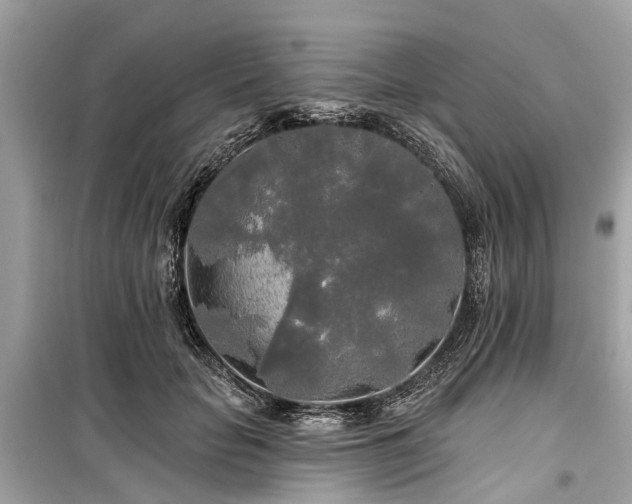 X0000099420653200805161047