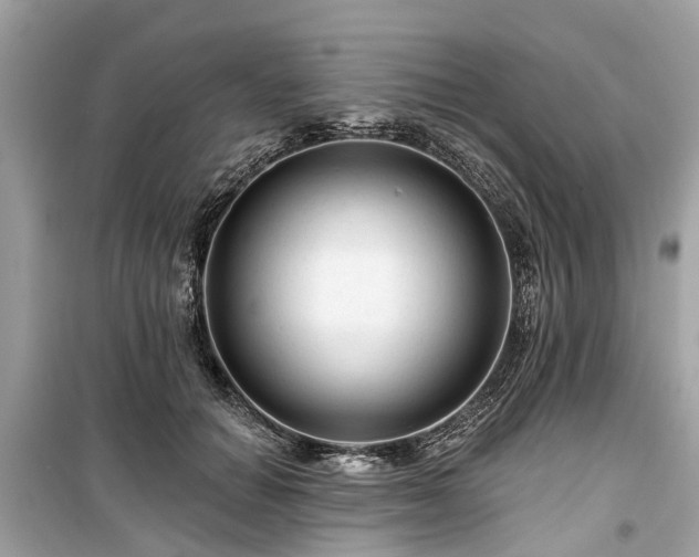X0000099420654200805161047