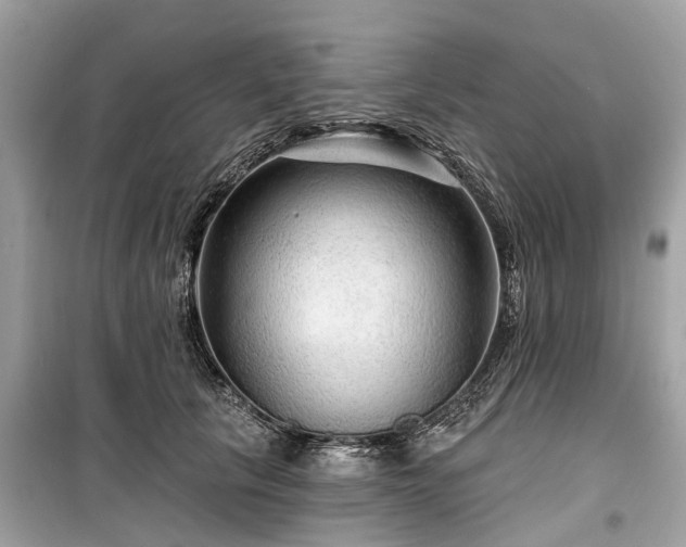 X0000099420657200805161047