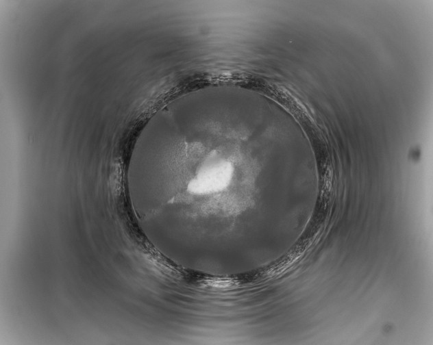 X0000099420659200805161047