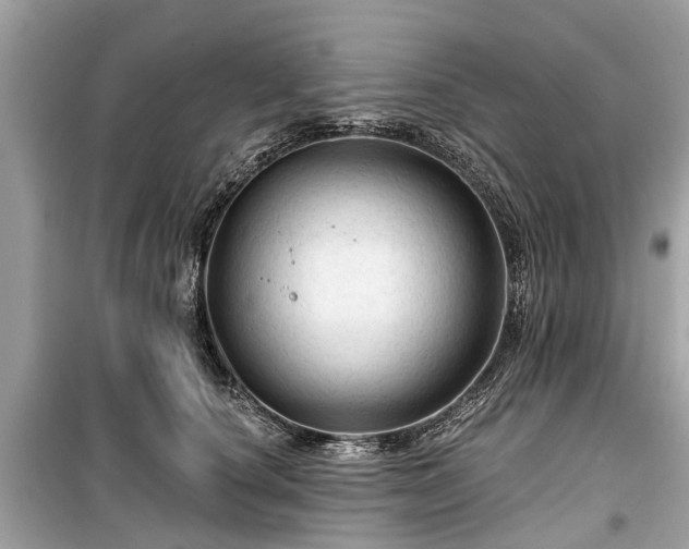X0000099420660200805161047