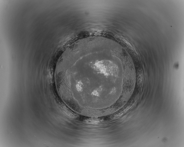 X0000099420661200805161047