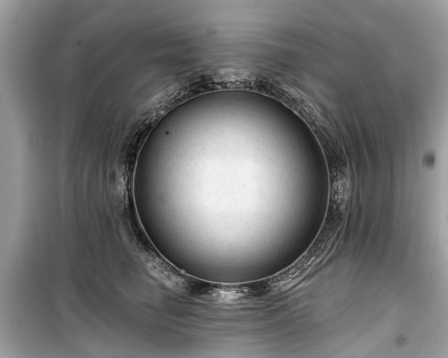 X0000099420662200805161047