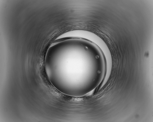 X0000099420665200805161047