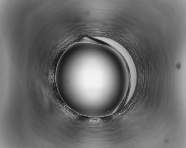 X0000099420666200805161047