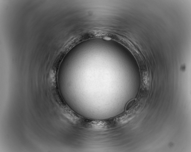 X0000099420667200805161047