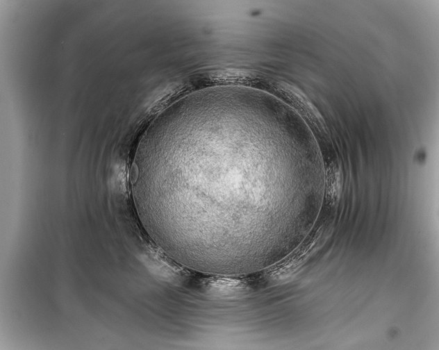 X0000099420669200805161047