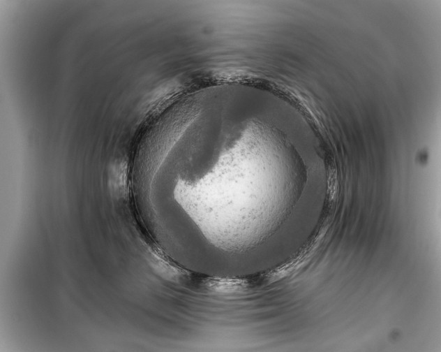 X0000099420670200805161047