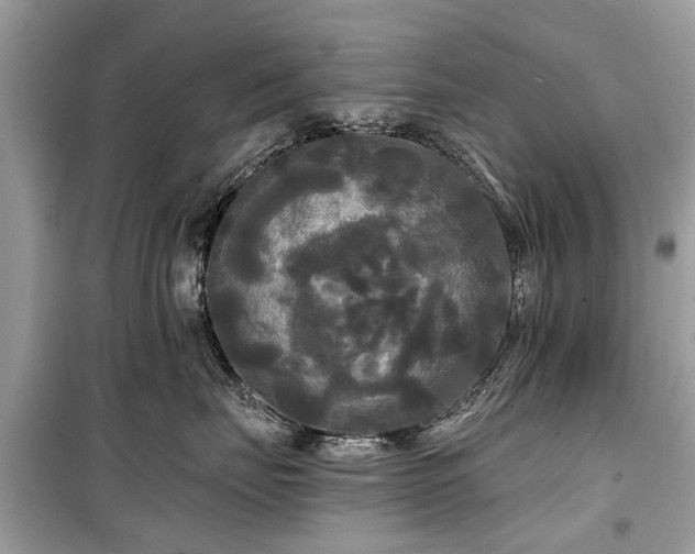 X0000099420671200805161047