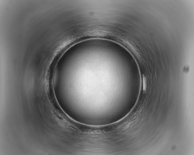 X0000099420675200805161046