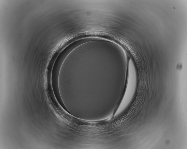 X0000099420678200805161046