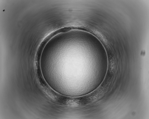 X0000099420680200805161046