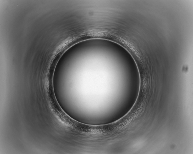 X0000099420682200805161046