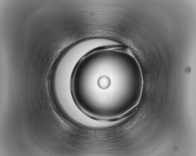 X0000099420683200805161046