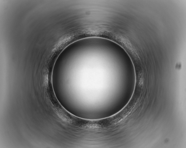 X0000099420685200805161046