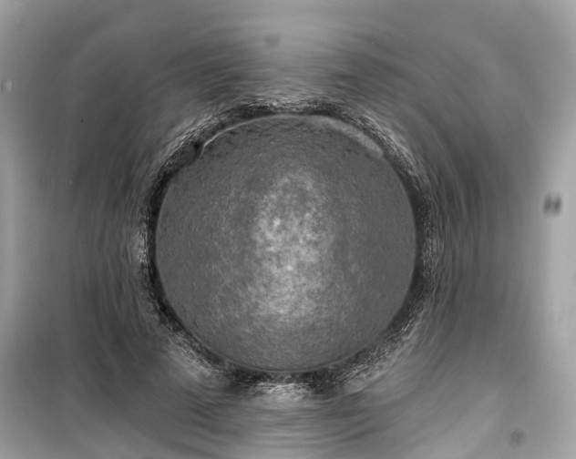 X0000099420689200805161046