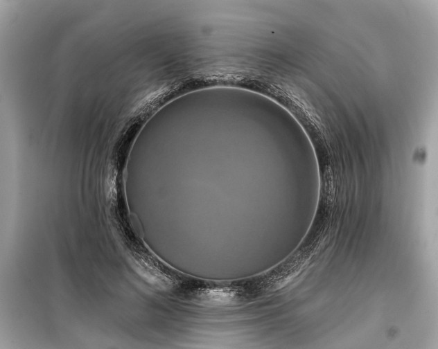 X0000099420692200805161046