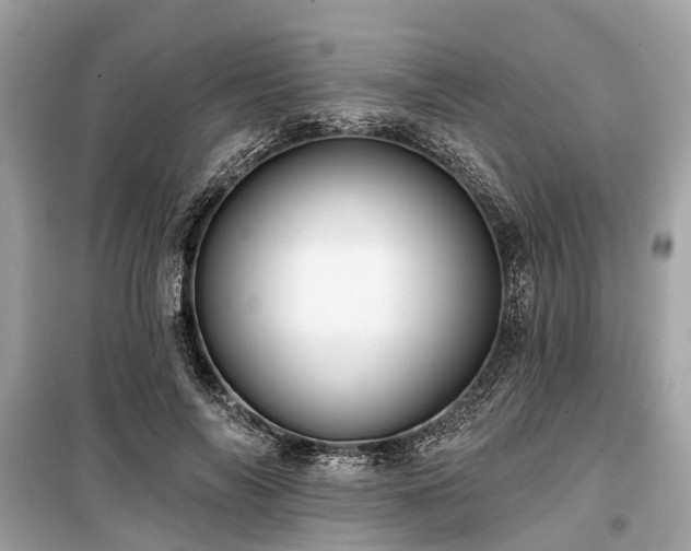 X0000099420694200805161046