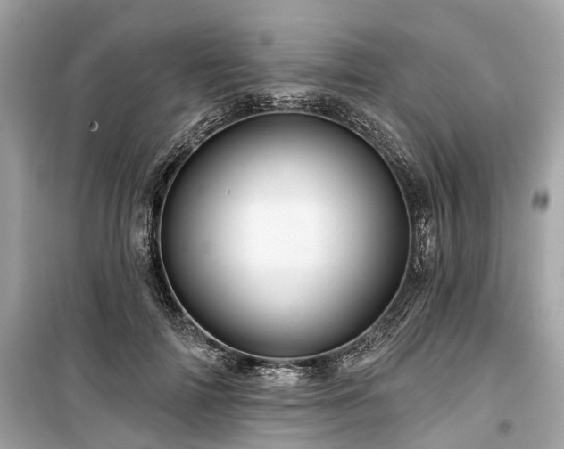 X0000099420698200805161046