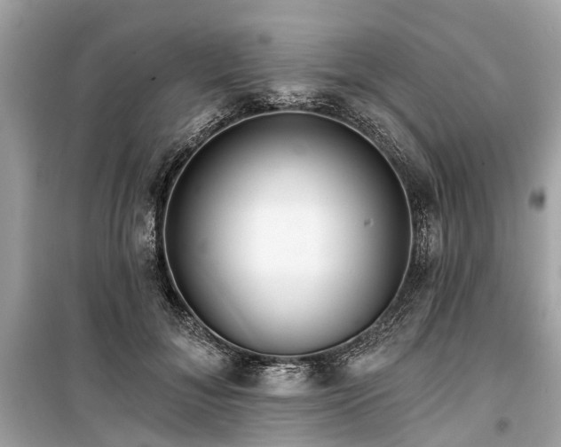 X0000099420700200805161046