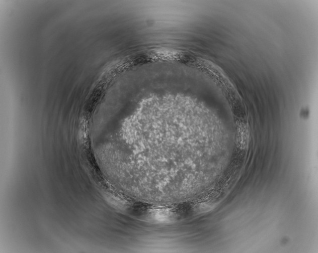X0000099420701200805161046