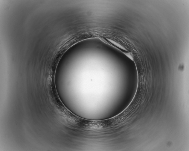 X0000099420702200805161046