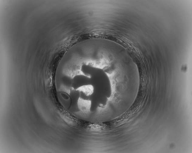 X0000099420703200805161046