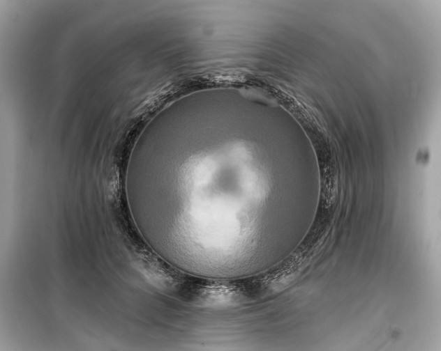 X0000099420704200805161046