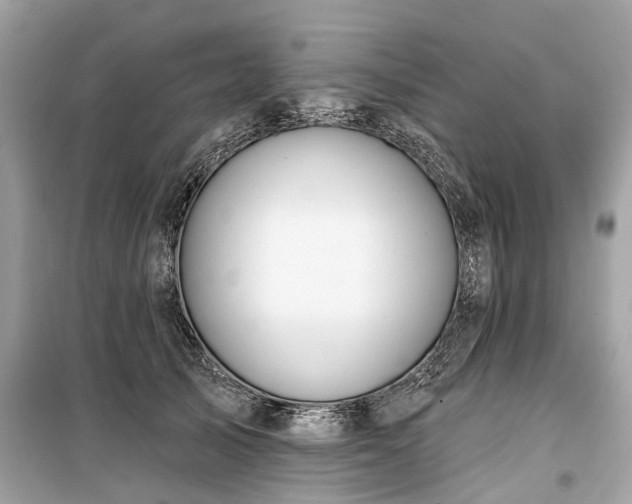 X0000099420705200805161046