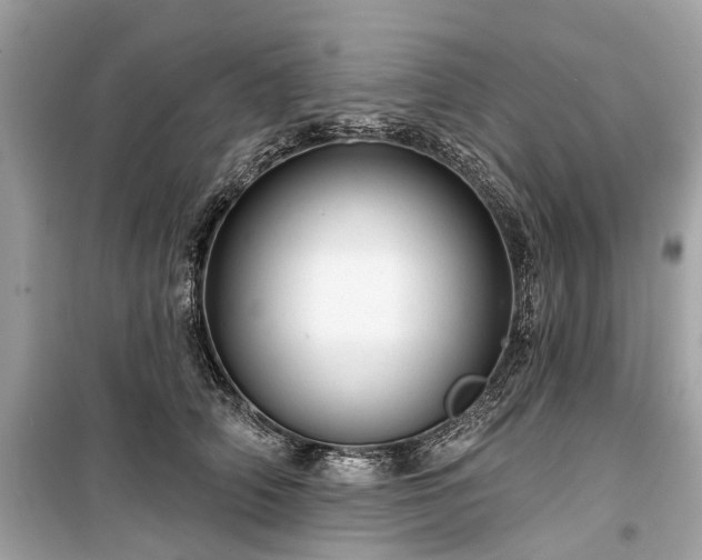 X0000099420706200805161046