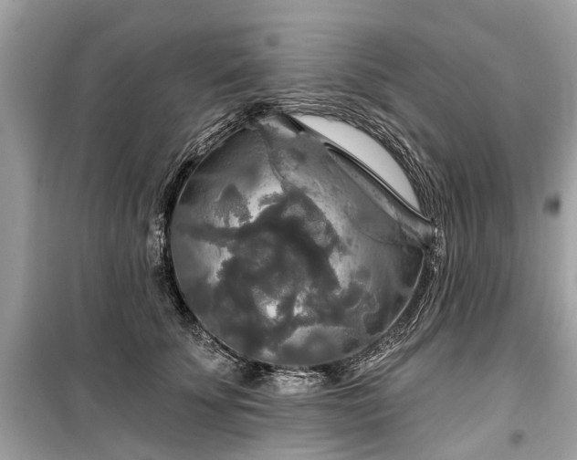 X0000099420707200805161046
