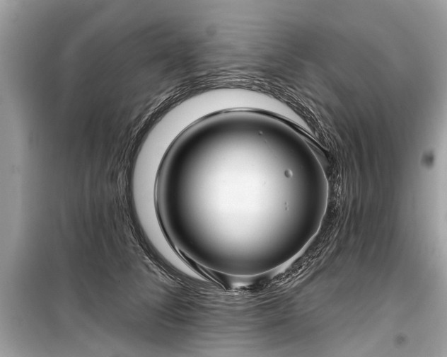 X0000099420708200805161046