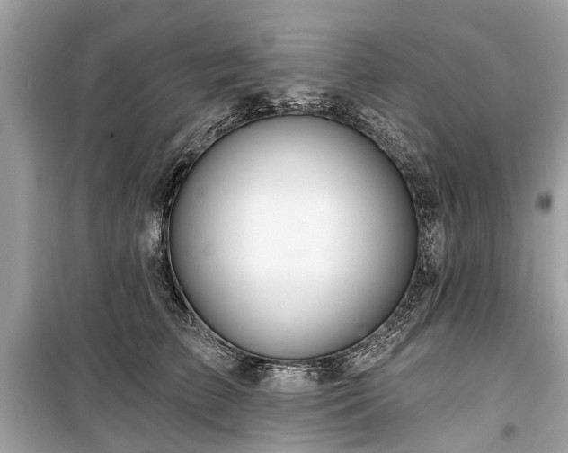 X0000099420709200805161046