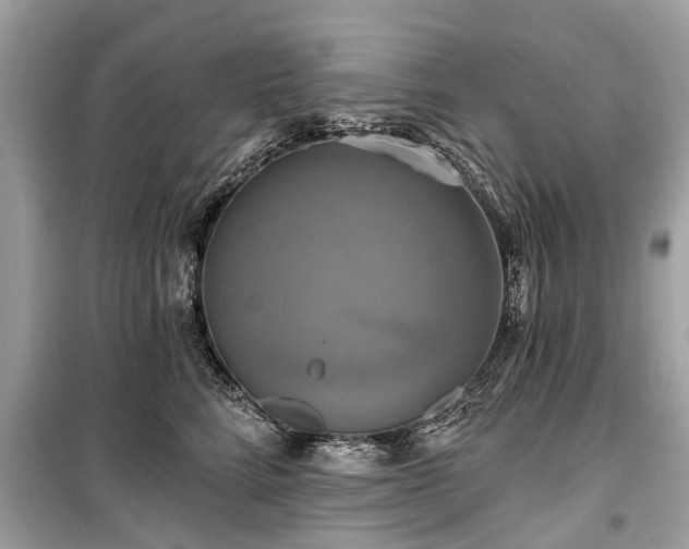 X0000099420712200805161046