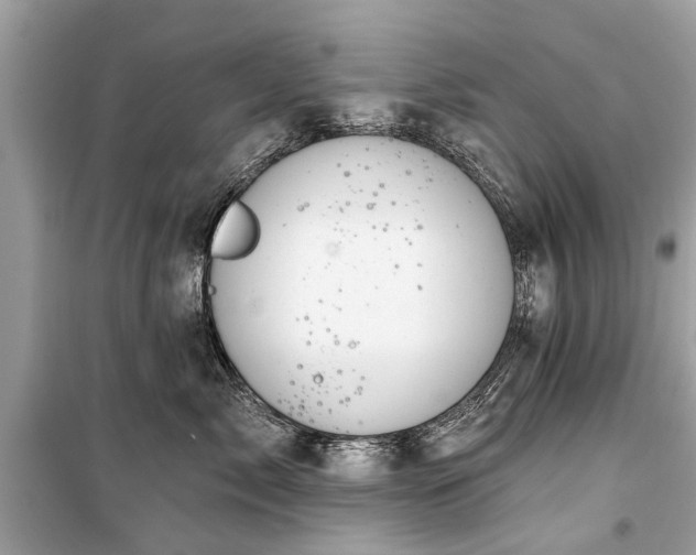 X0000099420717200805161046