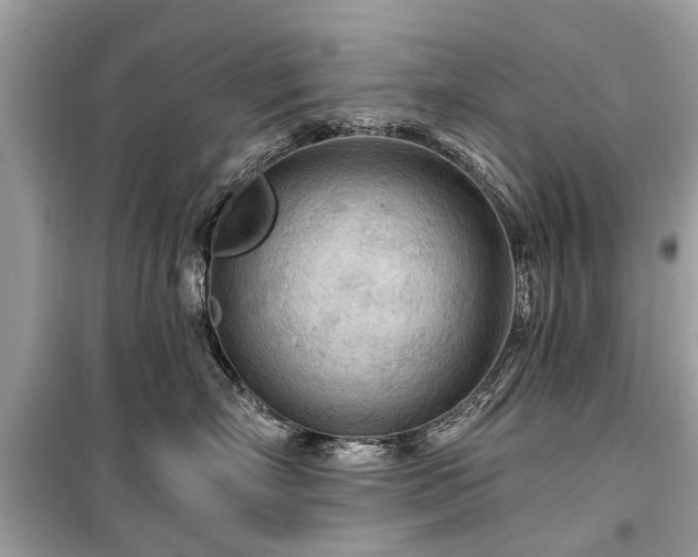 X0000099420718200805161046