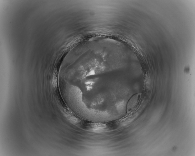 X0000099420719200805161046
