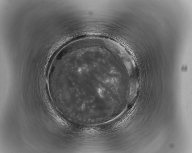 X0000099420721200805161045